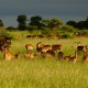 South Africa Tourism