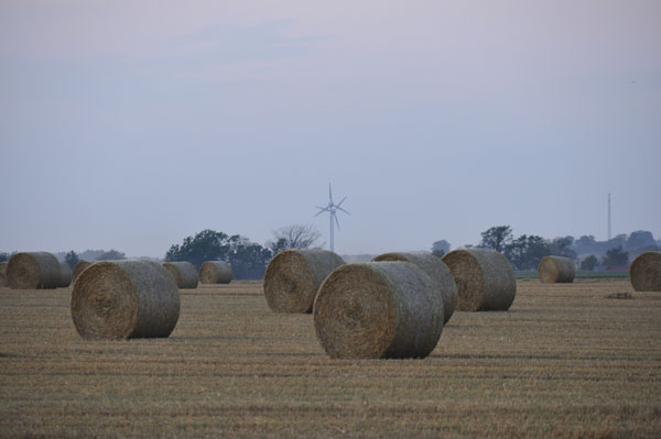 Farmland is essentially a long-term investment